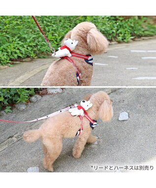 PET PARADISE リサとガスパール 反射リード ４Ｓ~３Ｓ 超小型犬 -