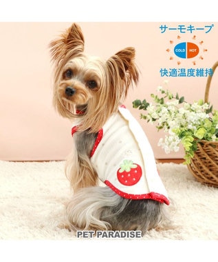  ペットパラダイス サーモキープ タンクトップ  苺柄 【小型犬】