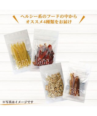 PET PARADISE ペットパラダイス 犬 おやつ デリスタイル4種類 ヘルシー系セットB -