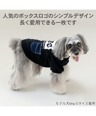PET PARADISE Lee ボックスロゴ トレーナー ブラック 小型犬 ブラック