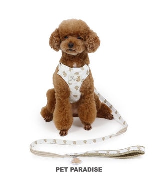 PET PARADISE ペットパラダイス くまちゃん スリム ハーネス＆リード 小型犬 SS