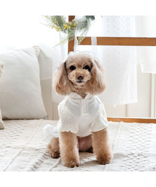 PET PARADISE ペットパラダイス ふりふり レースパーカー 小型犬 オフホワイト