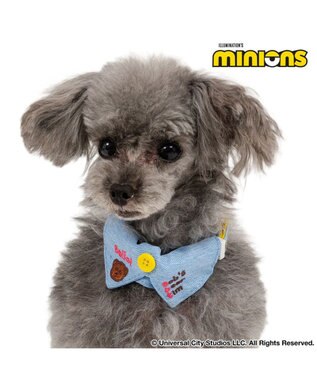 PET PARADISE ミニオン デニム襟付き首輪 ３Ｓ