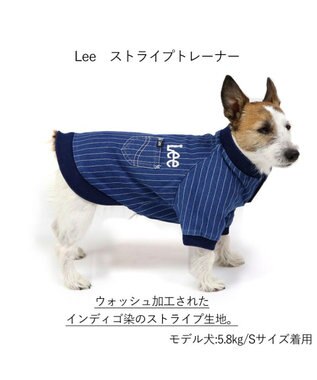 PET PARADISE 犬の服 犬 冬服 トレーナー Lee【小型犬】 ストライプ 紺（ネイビー・インディゴ）