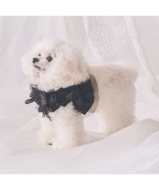 PET PARADISE cherircouture フリフリハーネス 《ブラック》 小型犬 ＳＳ ブラック