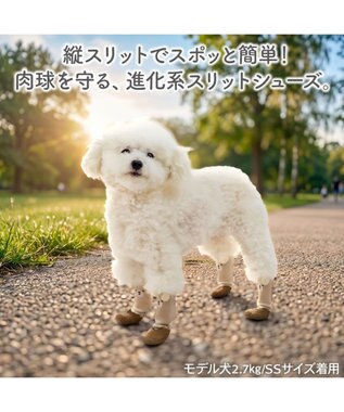 PET PARADISE ペットパラダイス くまちゃん スリットシューズ ３Ｓ ブラウン