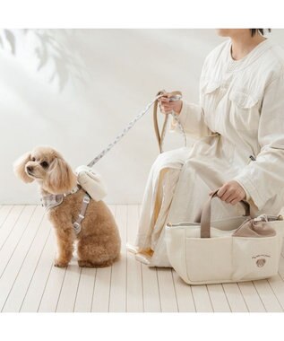 PET PARADISE ペットパラダイス くまちゃん リュック付き ハーネス ３Ｓ 小型犬 ベージュ