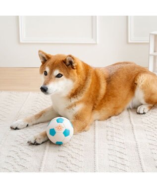 PET PARADISE ペットパラダイス サッカーボール 大 ホワイト