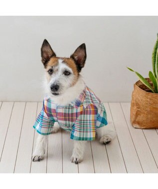 PET PARADISE J.PRESS マドラスチェック シャツ 小型犬 マルチカラー