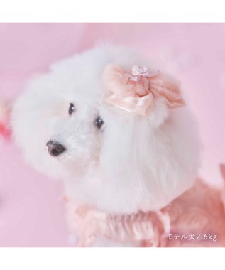 PET PARADISE cherircouture リボン アクセサリー ピンク ピンク
