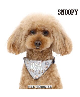 PET PARADISE スヌーピー 首輪 ビーグルスカウト柄 反射付き【３Ｓ】 小型犬