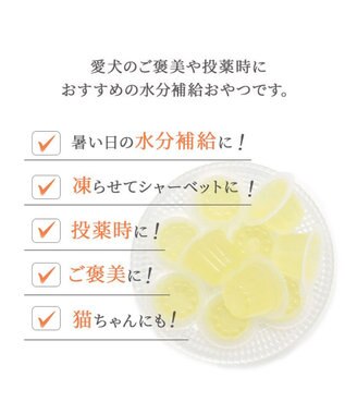 PET PARADISE りんごゼリー 10個入り 国産 -