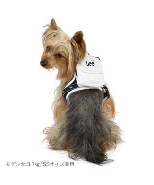 PET PARADISE Lee  ポケット付きハーネス ＳＳ~Ｓ 小型犬 -