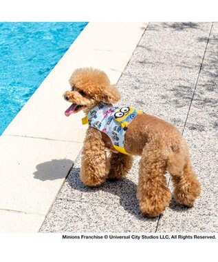 PET PARADISE ミニオン クールベスト 《アイス柄》 小型犬 ライトブルー
