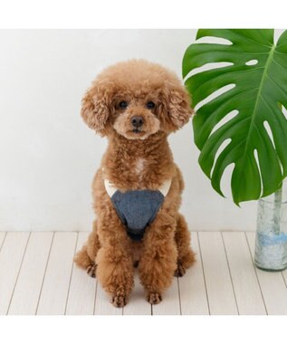 PET PARADISE ペットパラダイス ポケットクール ベスト 《オーバーオール風》 小型犬 インディゴブルー