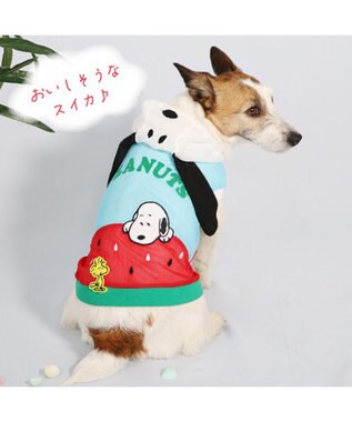 PET PARADISE 犬の服 春夏 スヌーピー スイカ メッシュ パーカー 【小型犬】 水色