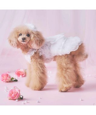 PET PARADISE cherircouture メニーローズ ワンピース ホワイト 小型犬 ホワイト