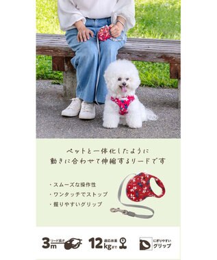 PET PARADISE リサとガスパール 伸縮リード 《パリ柄》 レッド