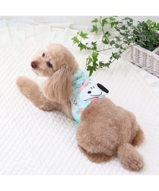 PET PARADISE スヌーピー クールベスト 《果物柄》 小型犬 果物柄