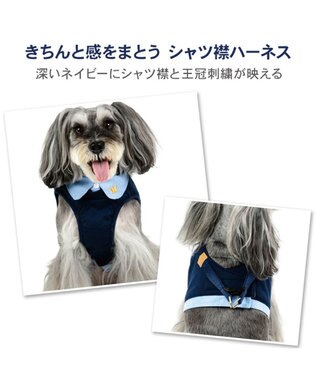 PET PARADISE ペットパラダイス 襟付きベストハーネス ＳＳ ネイビー×ブルー