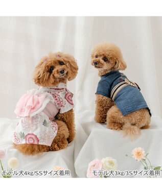 PET PARADISE ペットパラダイス 菊柄 浴衣 桃 小型犬 ホワイト×ピンク