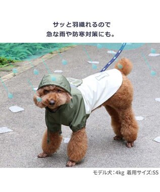 PET PARADISE Lee ポケットレインパーカー 超小型犬 小型犬 0
