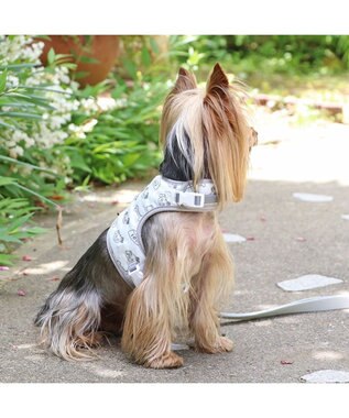PET PARADISE ディズニー 101匹わんちゃん 保冷剤ポケット付き ハーネス ３Ｓ 小型犬 保冷剤付