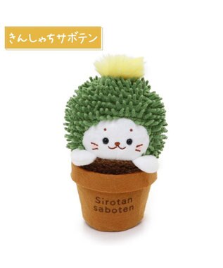 Mother garden しろたん サボテン マスコット 《きんしゃちサボテン》