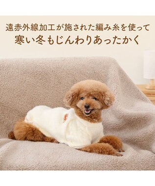 PET PARADISE ペットパラダイス くまちゃん ぬくふわニット 小型犬 ホワイト