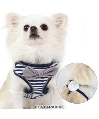 PET PARADISE 犬 ハーネス ボーダー 【３Ｓ】