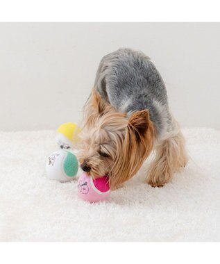 PET PARADISE ペットパラダイス テニスボール トイ ３個セット 0