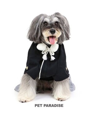 PET PARADISE ペットパラダイス 紋付袴 《シルバー》 小型犬 黒