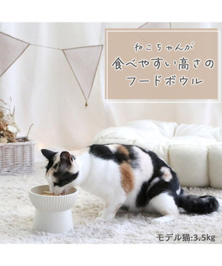 PET PARADISE 【受注生産】 猫 食器 フードボウル 陶器 オーダーメイドフードボウル ねこちゃん