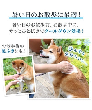 PET PARADISE ペットパラダイス クール  ボディタオル 20枚入り -