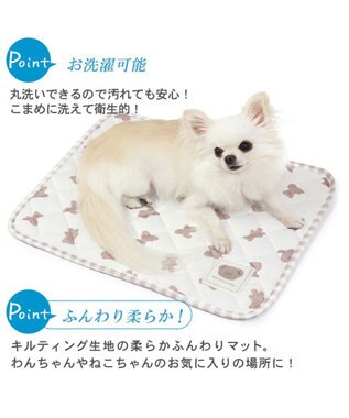 PET PARADISE 犬 クール マット 冷感 柔らか クールマット (48×40cm) 苺 くまちゃん ネイティブ 接触冷感 ひんやり ペット くまちゃん柄