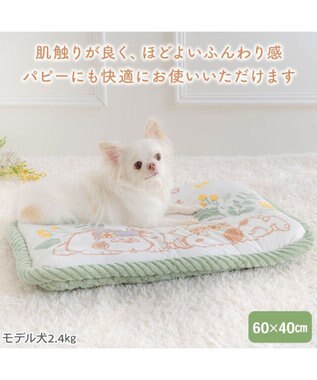 PET PARADISE スヌーピー マット Ｓ 《のほほん柄》　 ホワイト×グリーン
