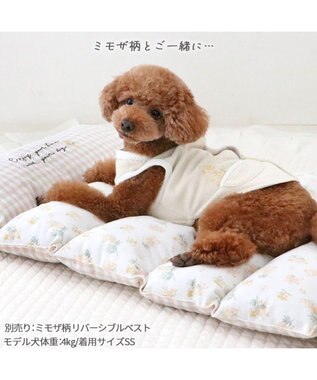 PET PARADISE ペットパラダイス ごろ寝マット 《ミモザ柄》 小型犬 ミモザ