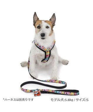 PET PARADISE スヌーピー 75周年 リード 小型犬 ～S 75周年柄
