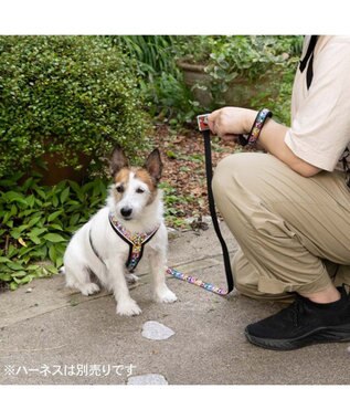 PET PARADISE スヌーピー 75周年 リード 小型犬 ～S 75周年柄