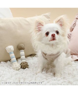 PET PARADISE ペットパラダイス くまちゃん ラテックス トイ 《ホワイト》 ホワイト