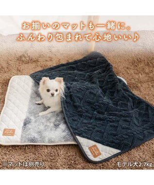 PET PARADISE ペットパラダイス ブランケット 《ダイヤ柄》 グレー