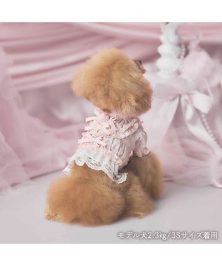 PET PARADISE cherircouture フリルシャツ 《ピンク》 小型犬 ピンク