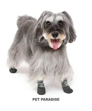 PET PARADISE 犬 靴 靴下 フィットシューズ 【Ｓ】 グリーン ブラウン
