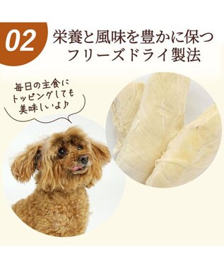 PET PARADISE 鶏ささみフリーズドライ 大袋 55g 国産 -