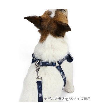 PET PARADISE J.PRESS  ギンガムチェック ハーネス&リード   Ｓ 小型犬 ネイビー