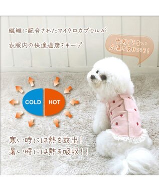 PET PARADISE ペットパラダイス サーモキープ 背中開き タンクトップ  《苺 刺繍》 小型犬 苺 刺繍