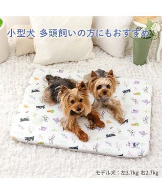 PET PARADISE リサとガスパール もちっと クールマット ホワイト