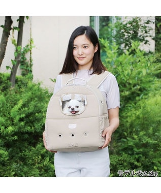 PET PARADISE ペットパラダイス リュック キャリーバッグ  シンプル ハグ＆リュック 【小型犬】 ベージュ