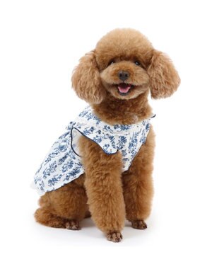 PET PARADISE ペットパラダイス 涼やか ワンピース 小型犬 ブルー