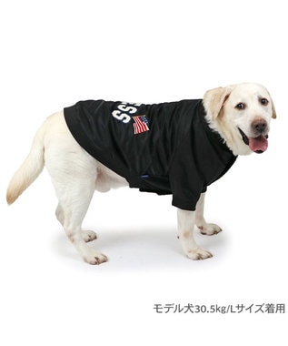 PET PARADISE J.PRESS ブラック スタジャン 中型犬 大型犬 ブラック